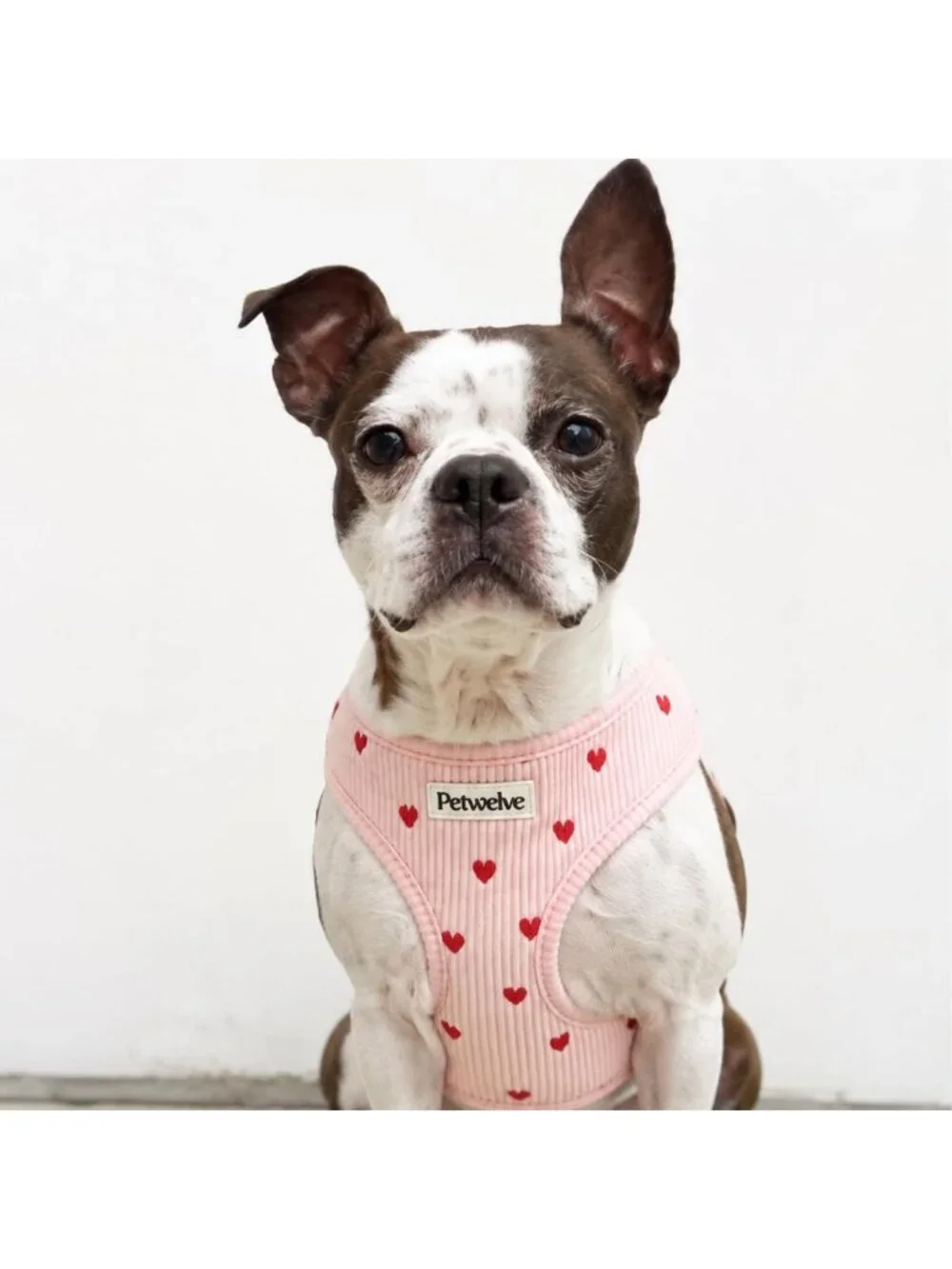 Medium No-Pull Dog Harness with Embroidered Heart - Pink Pet Vest for Comfort